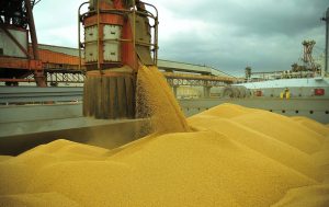 Porto de Paranaguá já supera exportações de grãos de 2017
