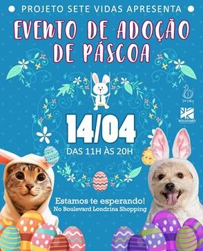 Neste domingo (14) tem Feira de Adoção de cães e gatos no Boulevard Londrina Shopping