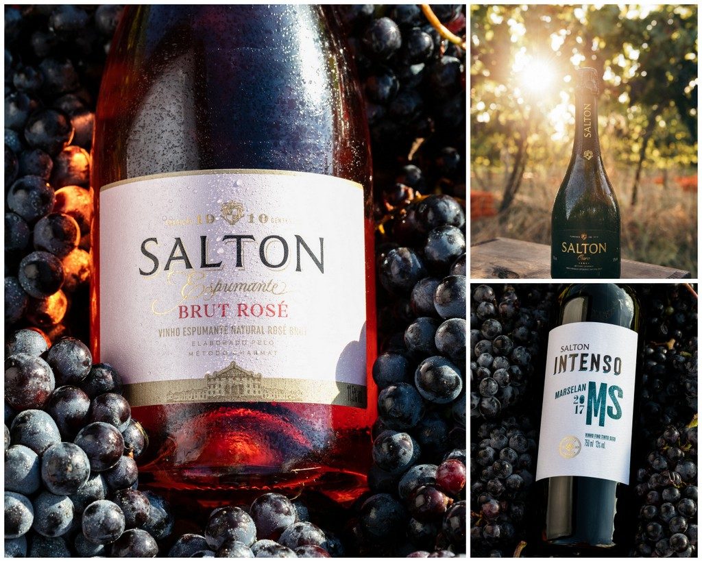 Salton ganha doze medalhas no Decanter World Wine Awards 2019