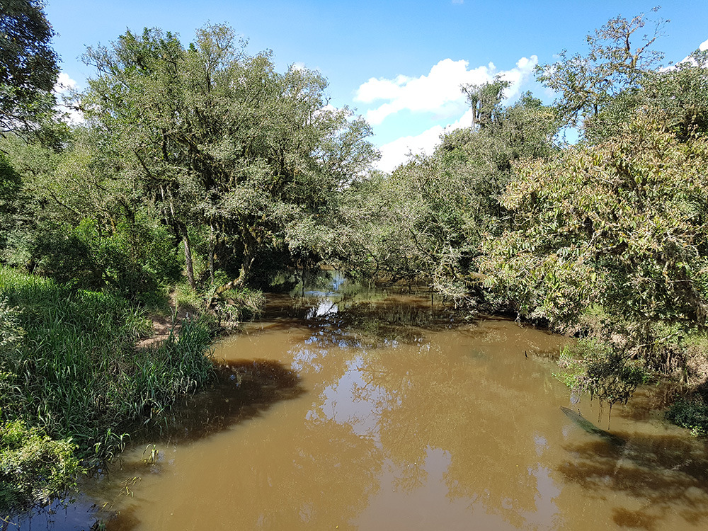 Movimento quer conservar e restaurar bacia hidrográfica no Paraná para contribuir com a segurança hídrica