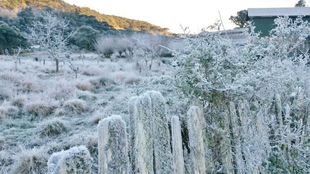 Estação mais fria do ano tem neve, florada de ipês e visita de baleias