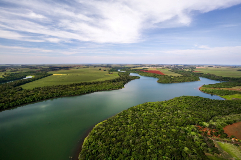 Dia da Mata Atlântica: Itaipu já recuperou quase 30% do bioma no Paraná
