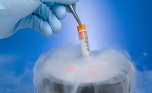 Bebê nasce de embrião congelado há 27 anos; saiba o que mudou na técnica de congelamento desde então