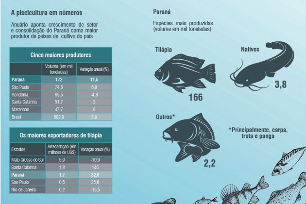 Paraná amplia liderança como maior produtor de peixes de cultivo do país