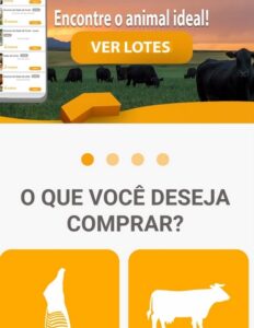 Startup do interior do Paraná desenvolve o “Mercado Livre de bois” e ganha prêmio nacional