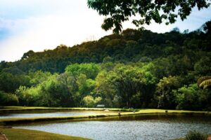 O lago de 210.000 m² é ideal para praticar esportes - Foto: Divulgação