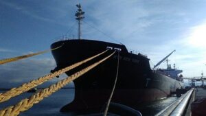 Cattalini Terminais Marítimos registra maiores volumes de importação de óleos aquecidos em uma única operação