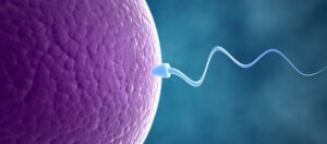 Contagem e qualidade de espermatozoides caiu 59% em menos de 40 anos. Por que isso está acontecendo?