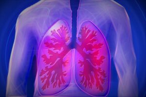Asma e bronquite exigem cuidados e tratamento
