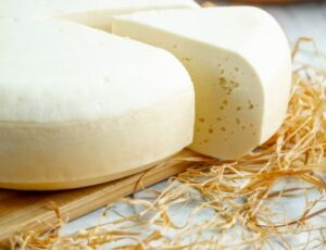 Cientistas investigam a contaminação por bactérias em queijo minas frescal