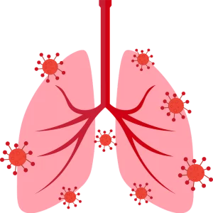 Exame laboratorial identifica os tipos de vírus respiratórios mais comuns