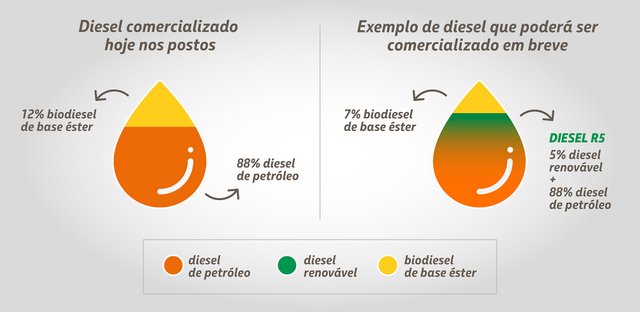 Petrobras e Vibra testam diesel com conteúdo renovável em linhas de ônibus de Curitiba