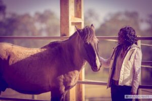 O método Omega-TAC (terapia e aprendizagem com cavalos sob a perspectiva  sistêmica), criado por Claudia Vassão, é o primeiro, talvez único, modelo  brasileiro de terapia e aprendizagem com cavalos, sob a perspectiva sistêmica.