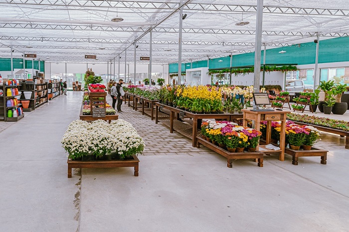 Mercado de flores espera Dia das Mães com altas nas vendas presenciais