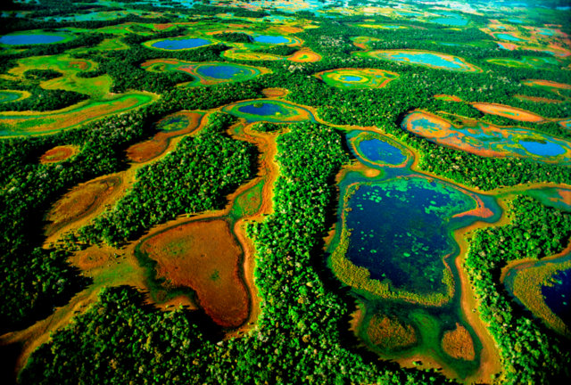 Pantanal (MS) – Crédito: Valdemir Cunha