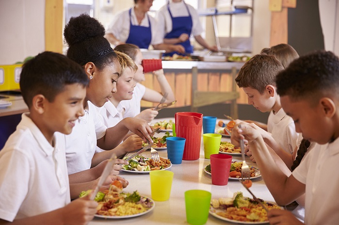 Risotolândia promove bate papo online sobre alimentação saudável na fase Escolar e convida comunidade de pais a participarem