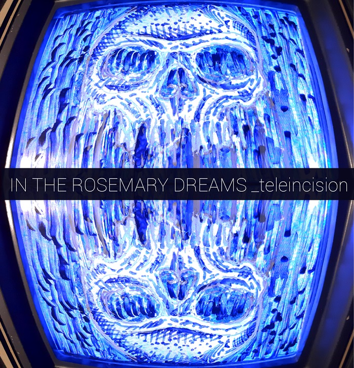 In The Rosemary Dreams: Trio curitibano de rock alternativo lança single “Teleincision”