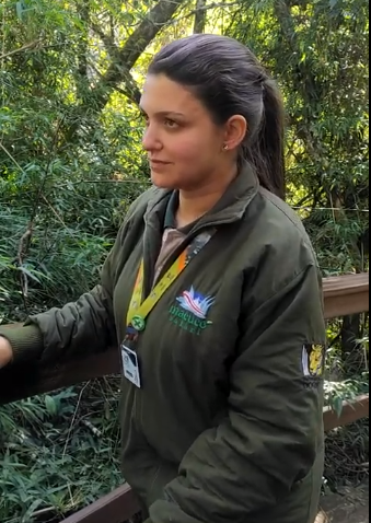 Trilha do Macuco Safari exibe uma senhora árvore de quase 90 anos no Dia da Árvore