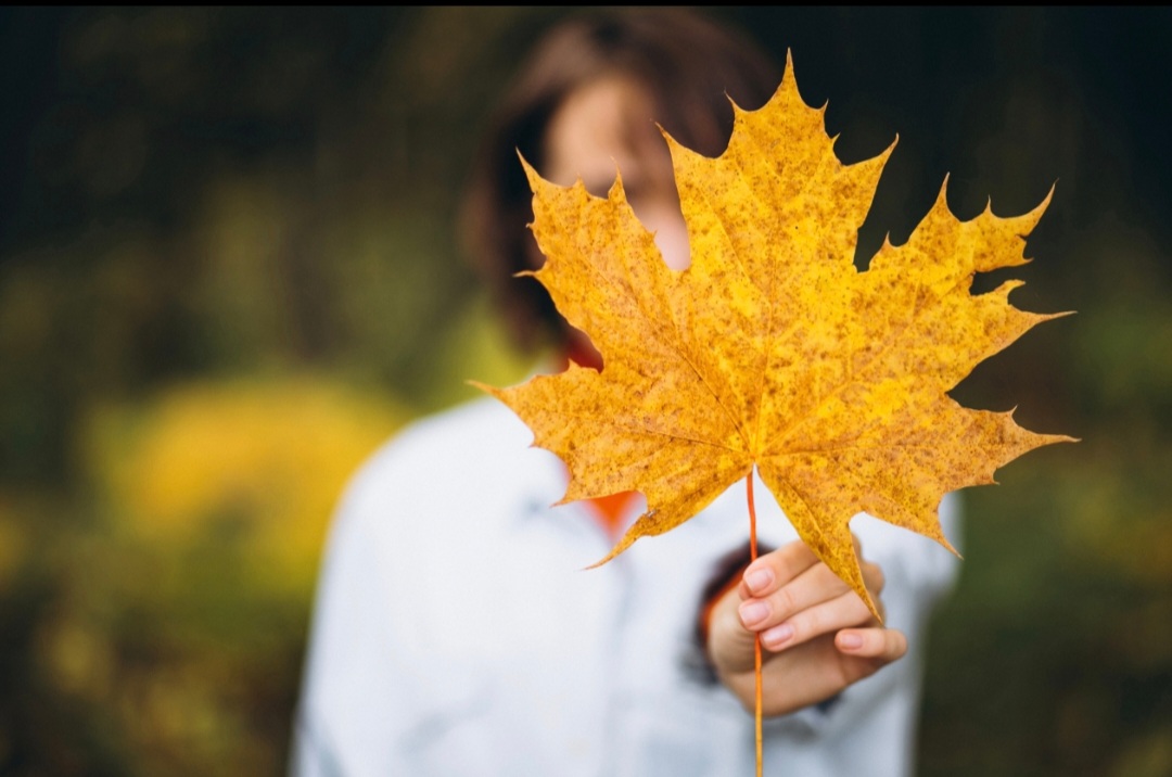 Fall temperature fluctuations can cause respiratory problems