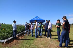 20ª Feira Agropecuária Integrado terá diversas atrações, palestras, workshops, orquestra de viola e caminhada tecnológica; evento é um mini-show rural