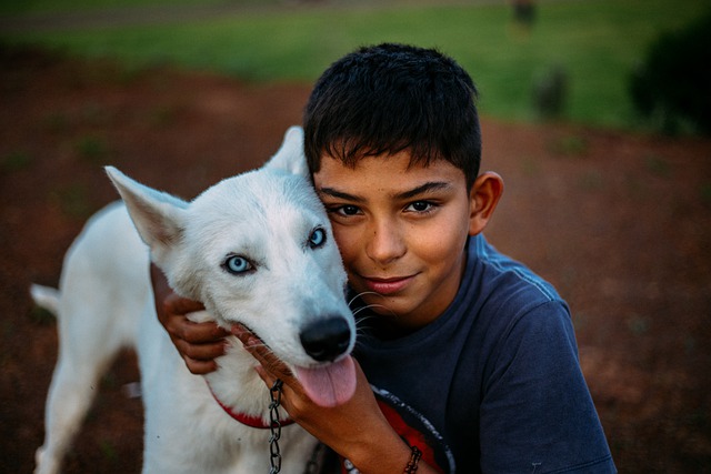 Crianças que beijam cachorros ou gatos podem desenvolver alergias