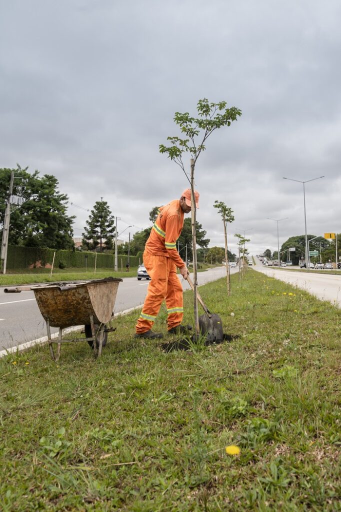 Curitiba terá plantio de árvores em comemoração ao Dia Mundial do Planeta Terra