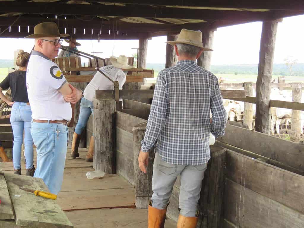 Rally da Pecuária chega ao Paraná para avaliar pastagens e rebanho de corte