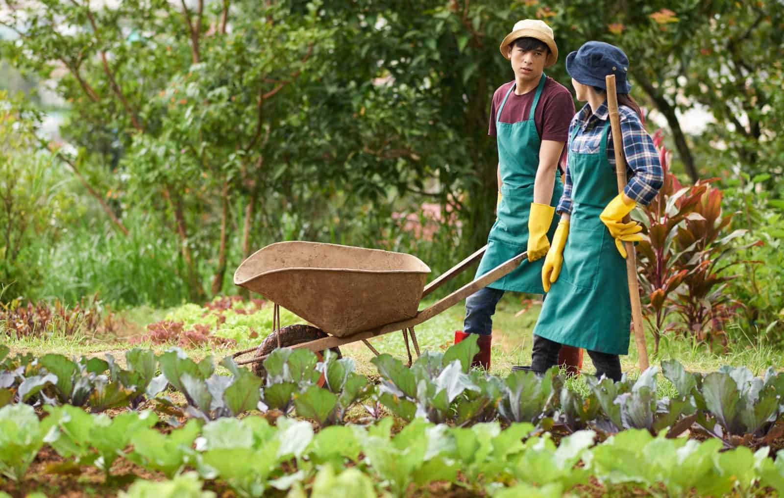 Evento aberto à comunidade será realizado nos dias 14 e 15 de julho, com palestras, debates e coleta de alimentos não-perecíveis