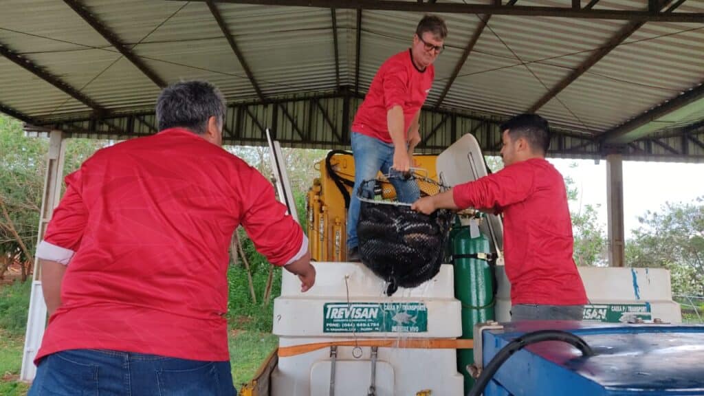 Itaipu doa uma tonelada de peixes para comunidade indígena Tekoha Ocoy
