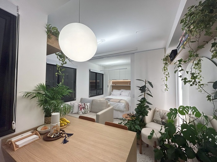 10 dicas para decorar apartamentos pequenos com plantas
