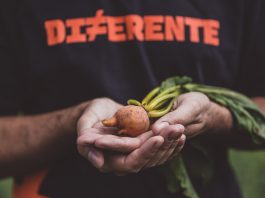 Startup impulsiona pequenos agricultores para mais de R$ 10 milhões em retorno financeiro