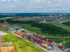Exportação de papel e celulose de Paranaguá atinge recorde no primeiro trimestre