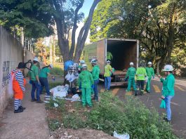 ação de combate a dengue em maringa pessoas ao redor de um caminhão de coleta de recicláveis