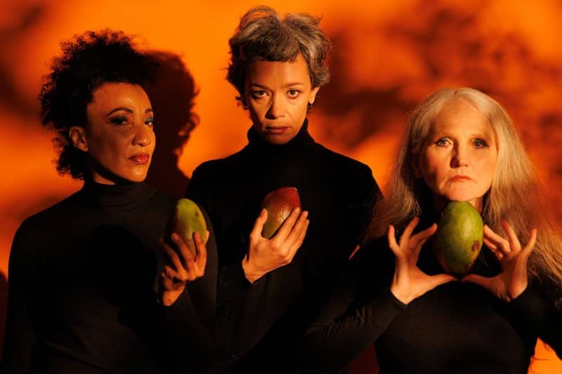 The Mango Tree, nova comédia de Leonarda Glück, estreia em Curitiba e flerta com o teatro do absurdo