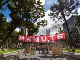 Mamute Feira Gráfica agita Câmara de Curitiba e Praça Eufrásio Corrêa com programação cultural gratuita