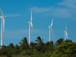 "Brasil alcança recorde na geração de energia eólica em novembro"